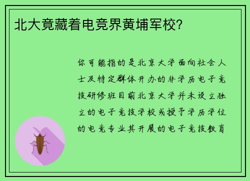 北大竟藏着电竞界黄埔军校？